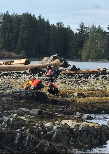 Photo shows a group of students exploring a rocky seashore.